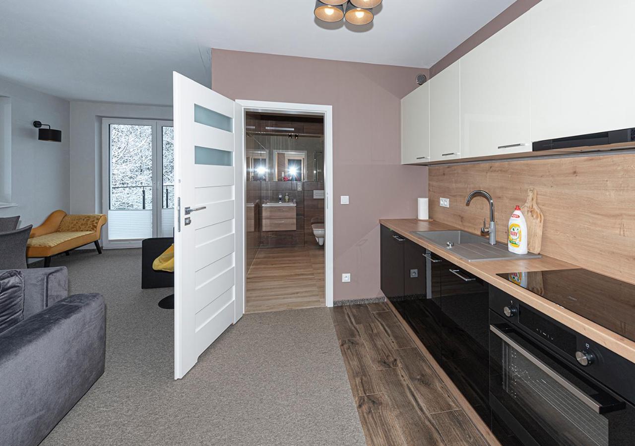 Świeradów-Zdrój Apartament Piano מראה חיצוני תמונה